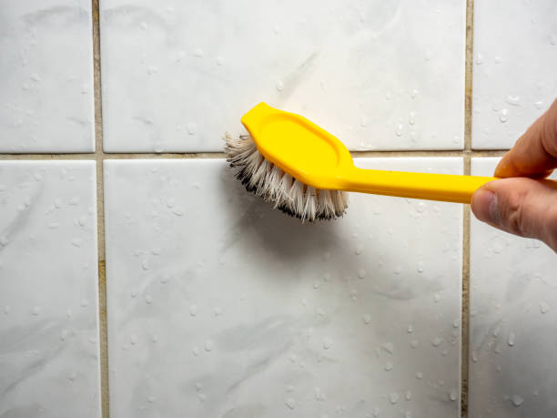 Best Mold Cleaning Services  in Maumelle, AR