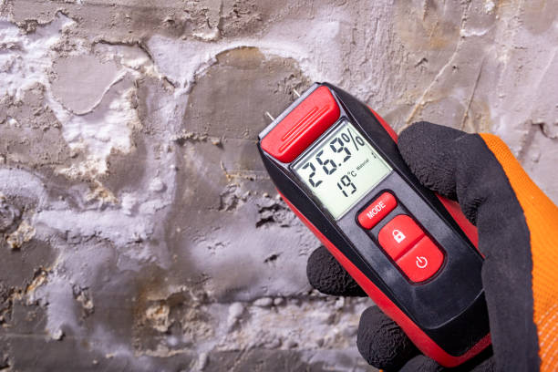 Certified Mold Removal in Maumelle, AR