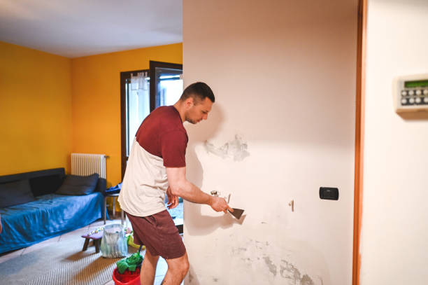 Mold Testing and Removal in Maumelle, AR